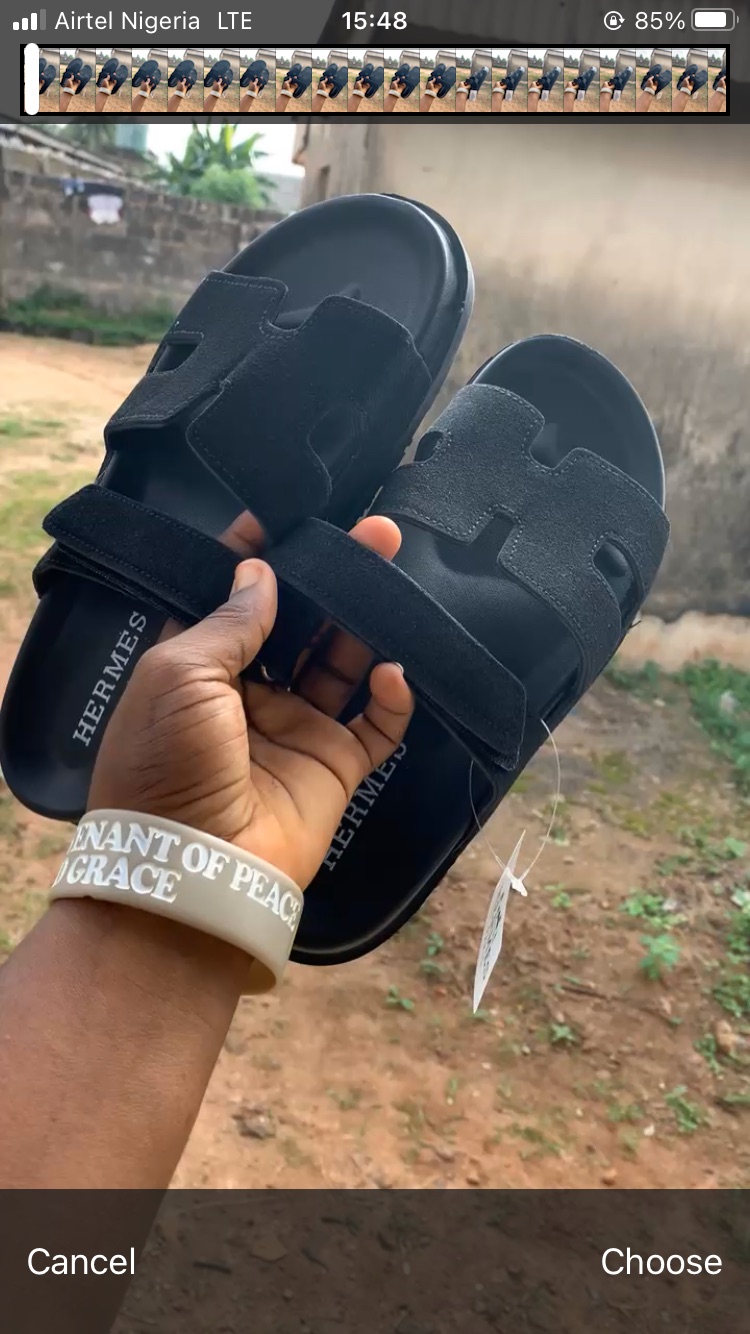 Hermes palm