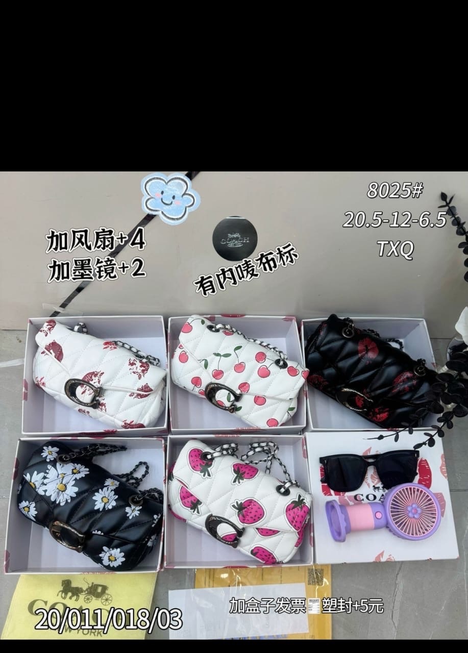 Coach bag